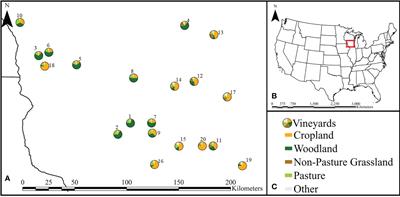 Effect of surrounding landscape on Popillia japonica abundance and their spatial pattern within Wisconsin vineyards